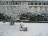 Sonja_s Pictures-Biberach 057